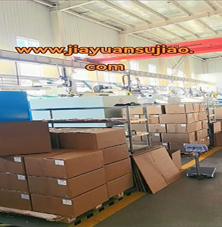 Launch of New Products
