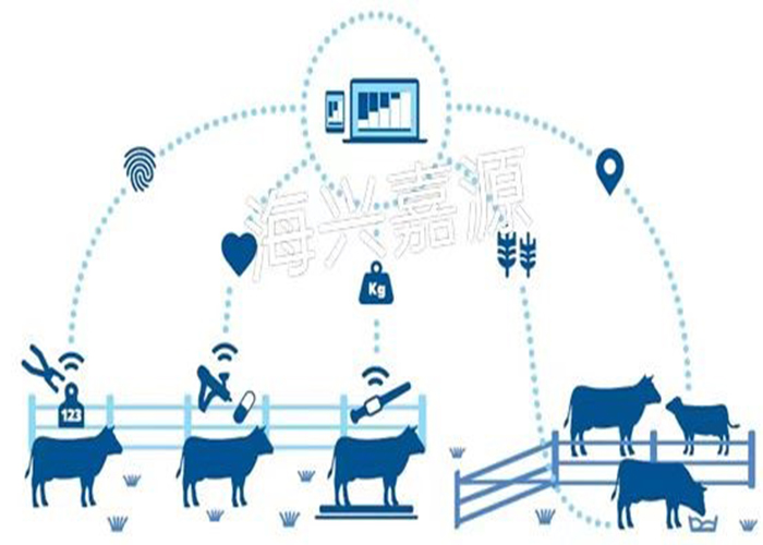 smart ear tags