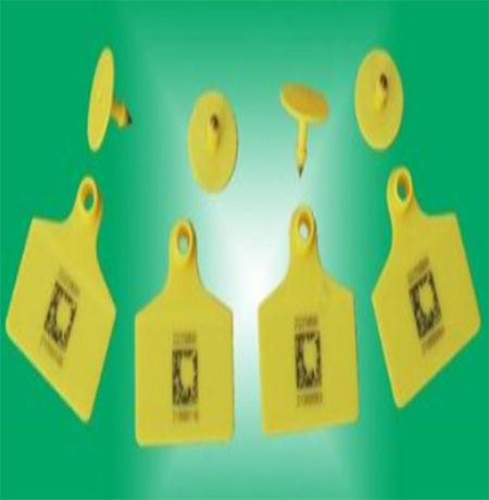 electronic ear tags