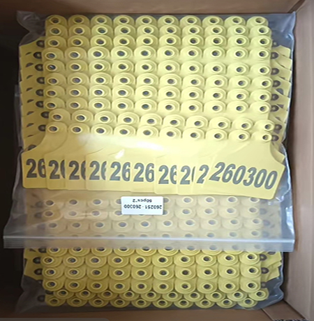 春节备货1-新闻.jpg 春节备货1-新闻.jpg