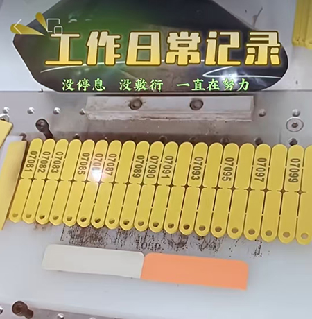 Ear Tag Production Operating Steadily as Pre-Spring Festival Orders Reach Peak