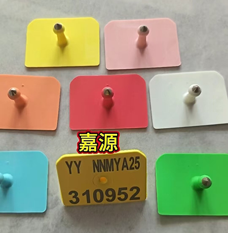 2-新闻.jpg
