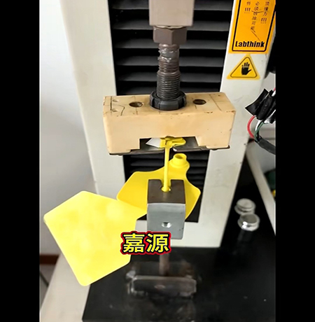 20261019 白头一体大标拉力测试 (2)-新闻.jpg